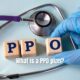 What is a PPO plan